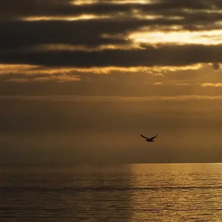 In Osterdeichstrich 公寓 *