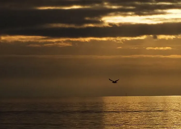 In Osterdeichstrich Appartement *