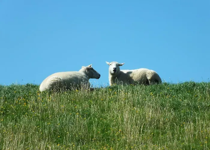 In Osterdeichstrich *